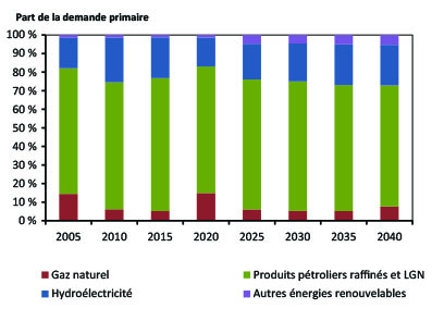 Figure Yn.2 - Parts des combustibles primaires