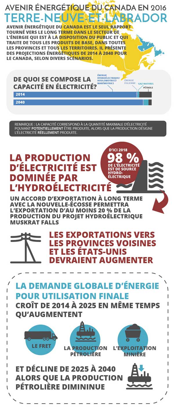 Principales conclusions en infographique pour Terre-Neuve-et-Labrador