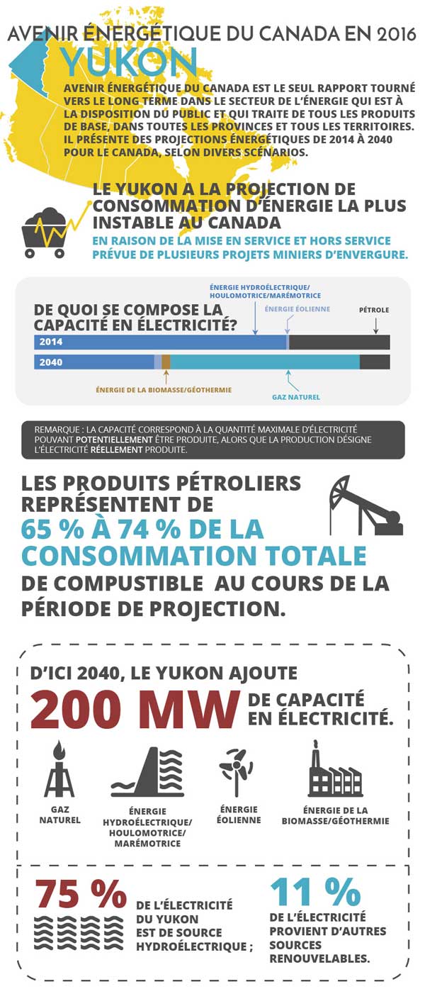 Principales conclusions en infographique pour Yukon