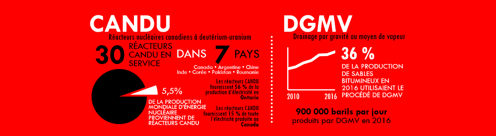 Les deux illustrations font ressortir quelques éléments importants des réacteurs CANDU et du DGMV.