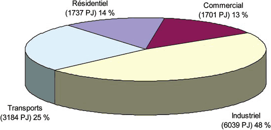 Figure&nbsp;1&nbsp;: Parts de la demande finale d’&eacute;nergie secondaire (2004)