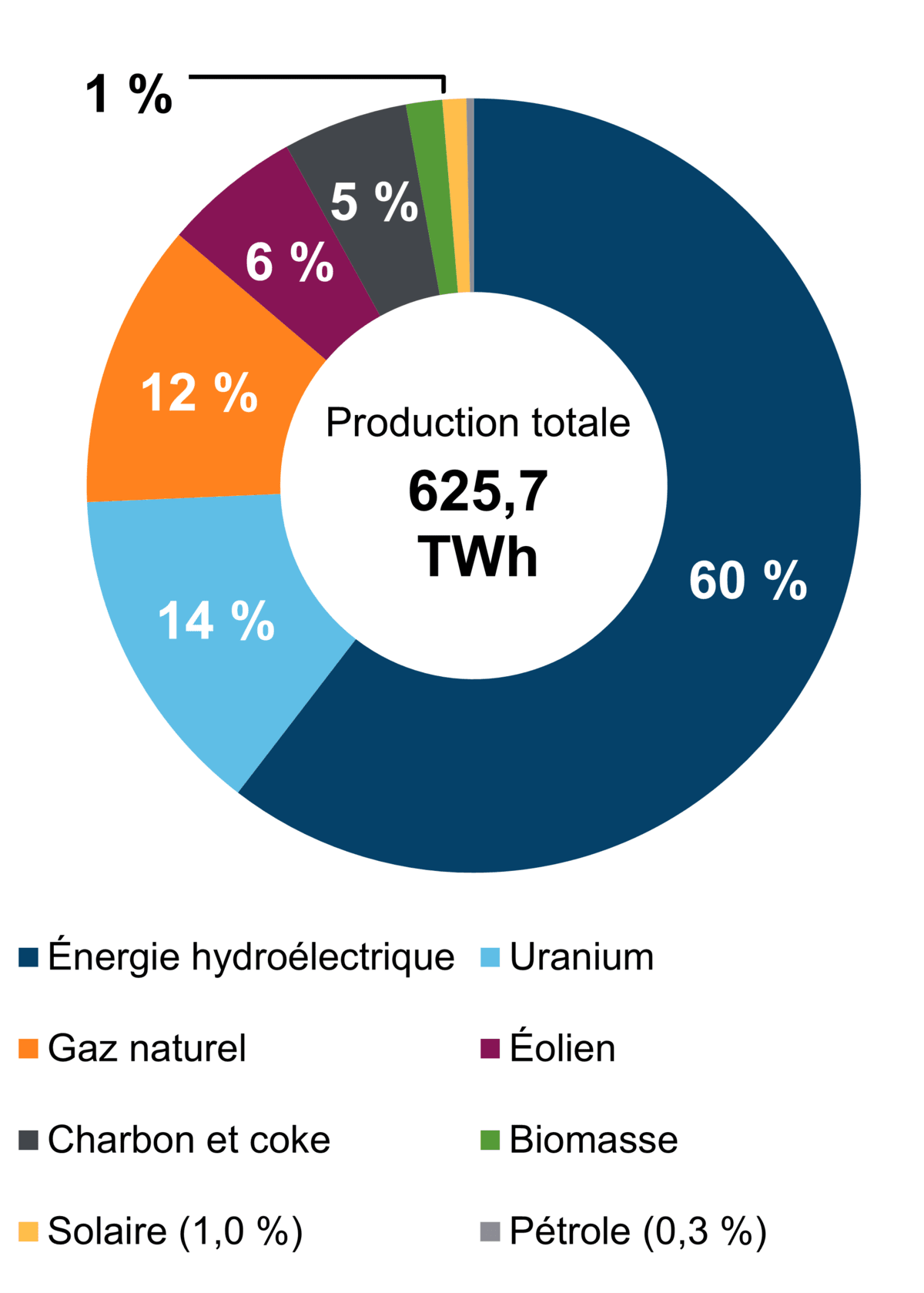 Figure&nbsp;1 – Production d’électricité selon le type de combustible (2021)