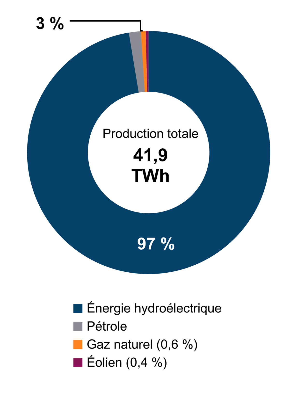 Figure&nbsp;1 – Production d’électricité selon le type de combustible (2021)