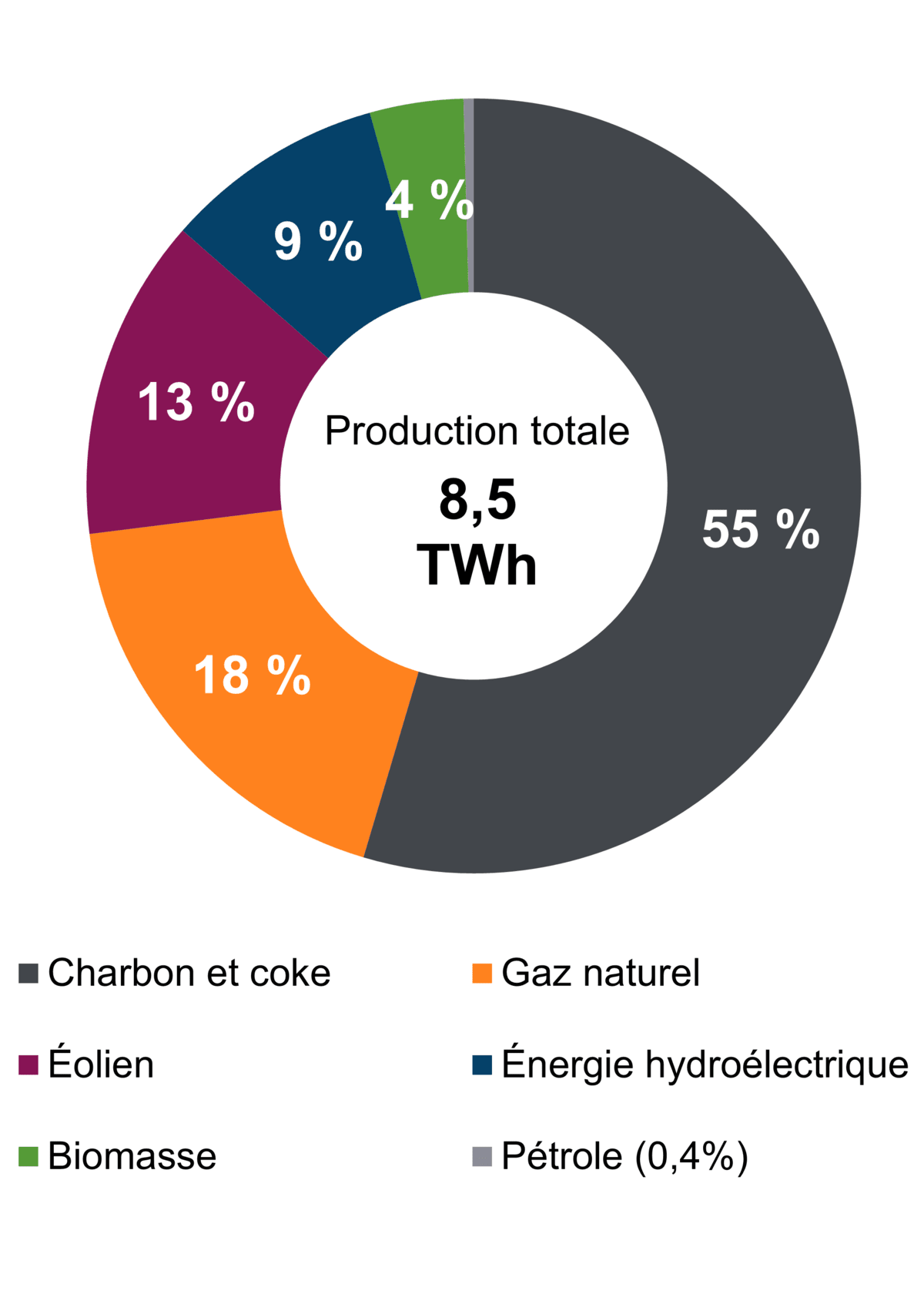 Figure&nbsp;1 – Production d’électricité selon le type de combustible (2021)