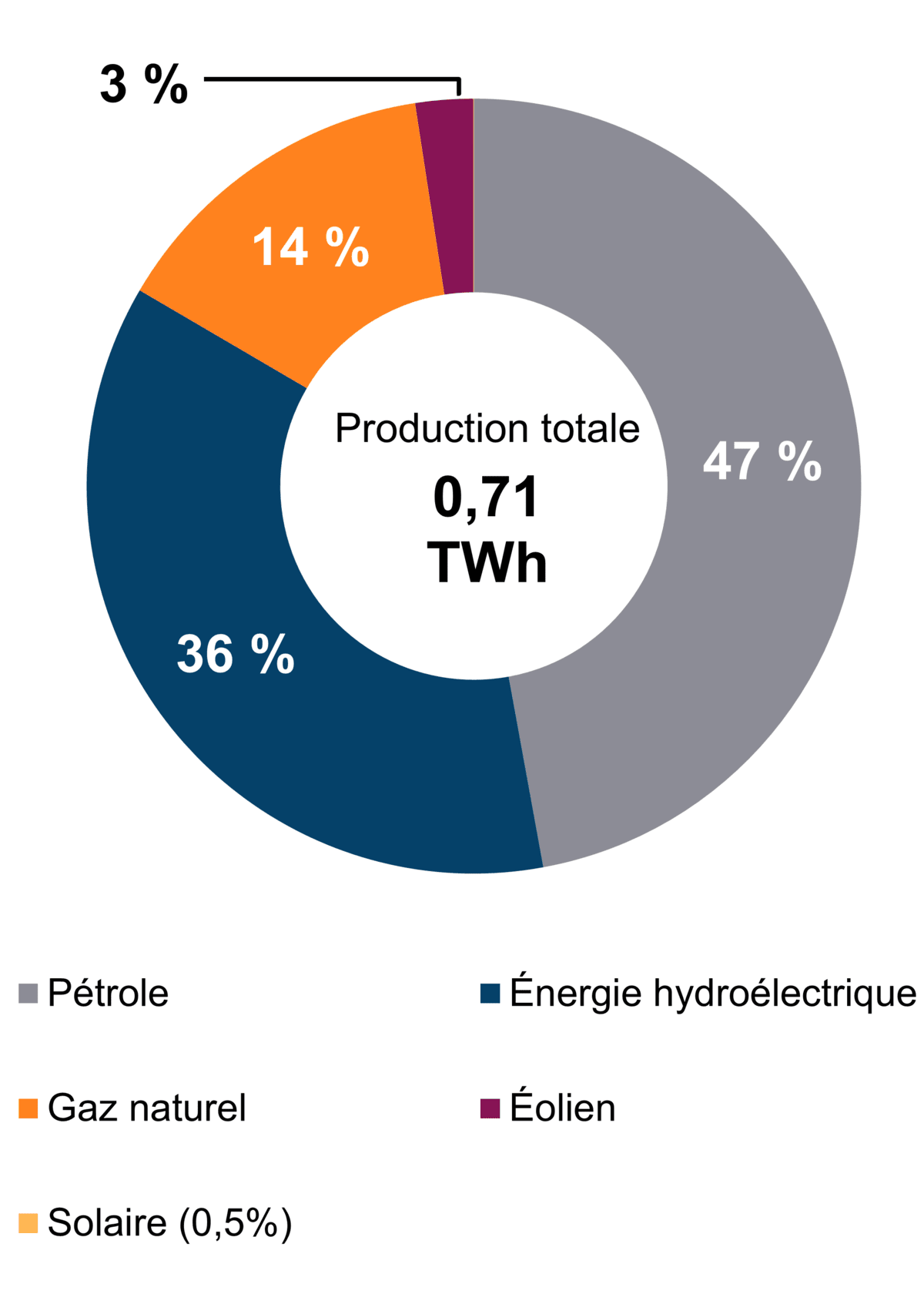 Figure&nbsp;1 – Production d’électricité selon le type de combustible (2021)