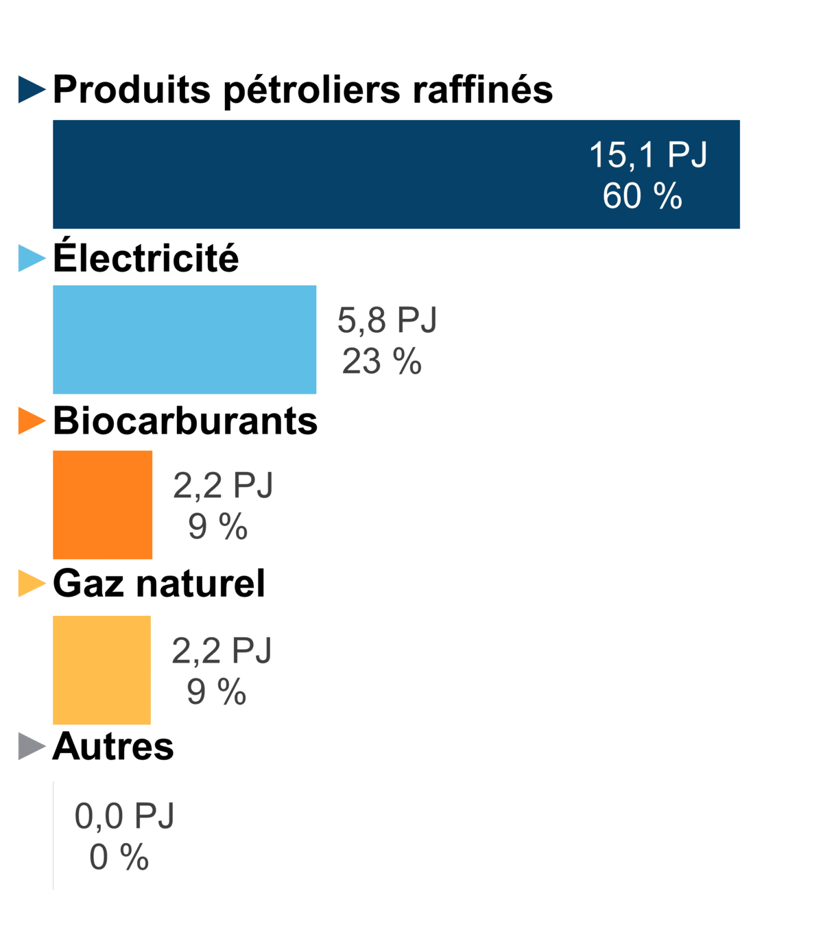 Figure 4 - Demande pour utilisation finale selon le combustible (2020)