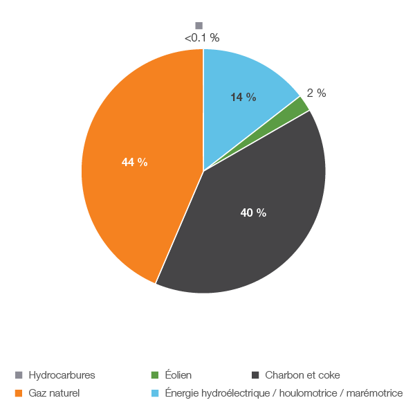 Figure 11 : Production d’électricité selon le type de combustible en 2018