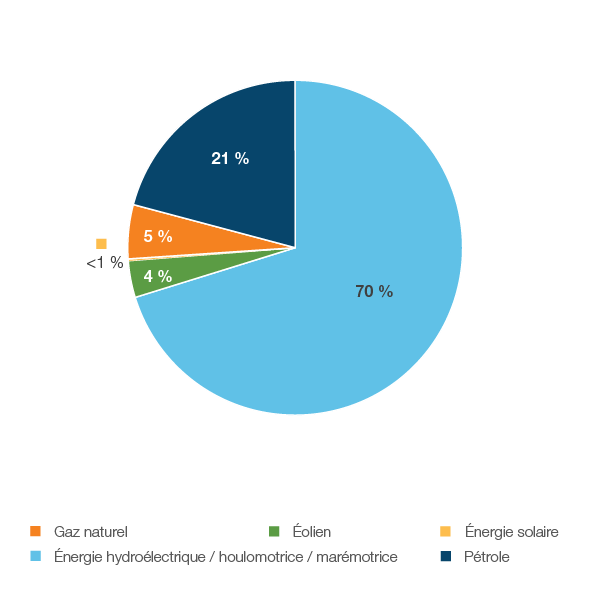 Figure 29 : Production d’électricité selon le type de combustible en 2018