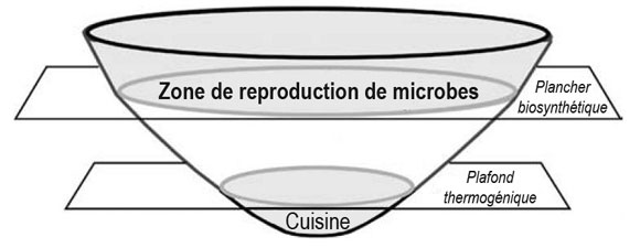 Figure&nbsp;3&nbsp;: Production de m&eacute;thane biosynth&eacute;tique (zone de reproduction) et thermog&eacute;nique (cuisine)