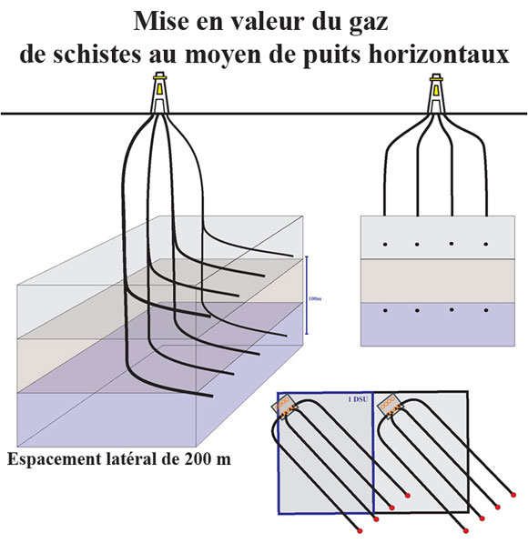 Figure&nbsp;7&nbsp;: Sch&eacute;ma d’un terre-plein de forage &agrave; plusieurs puits et de plusieurs puits horizontaux &agrave; partir du m&ecirc;me emplacement de surface