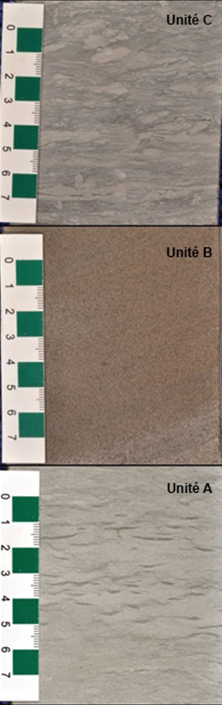Figure 3 : Les unités C, B et A de la formation de Bakken