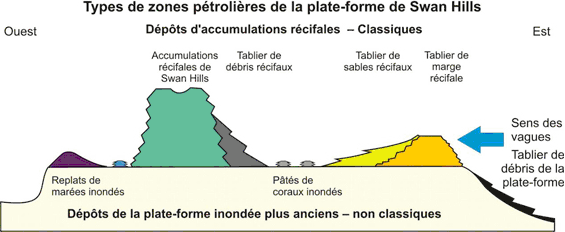 Figure 16 - Types de gisements dans le champ de Swan Hills