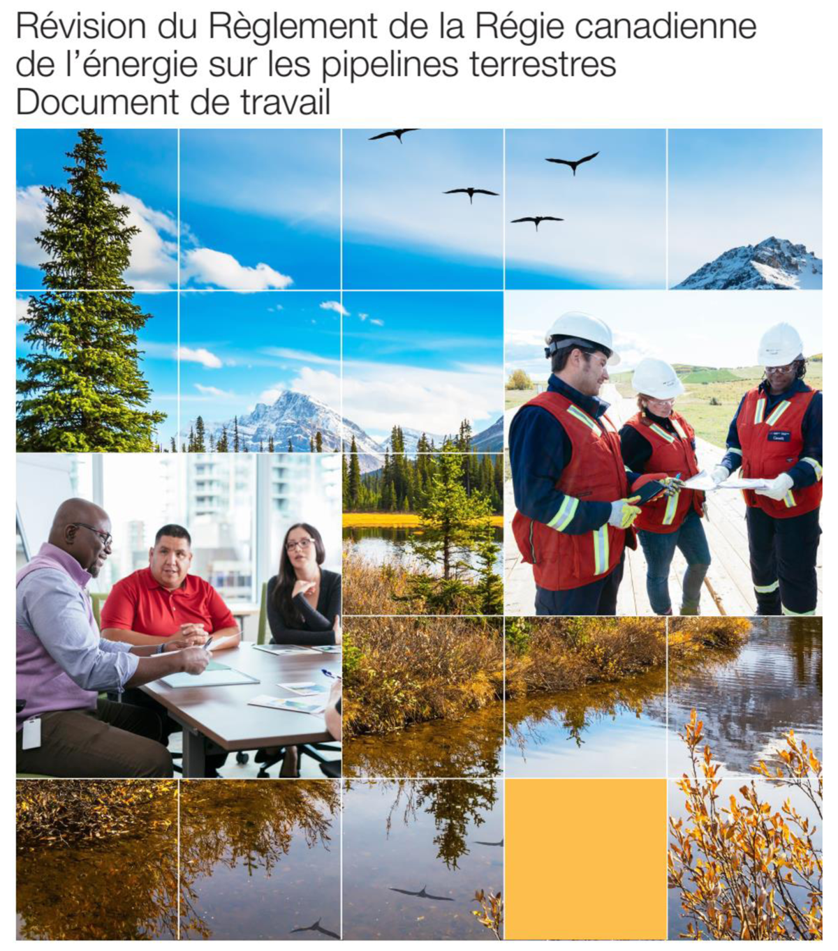 Couverture du Document de travail du RPT
