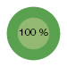100&nbsp;%