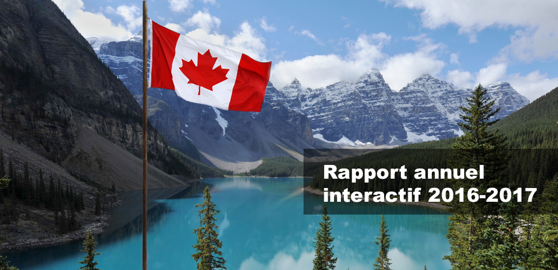 Interactive Annual Report 2015-2016