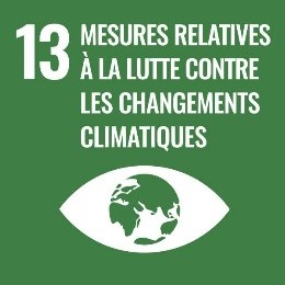 Icône montrant le chiffre 13 et les mots Mesures relatives à la luttle contre les changements climatiques