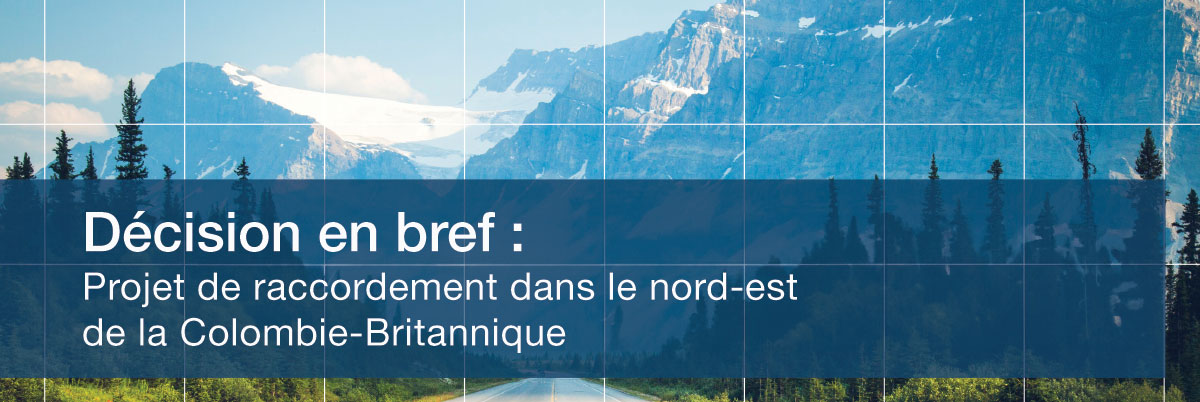 Décision en bref &ndash; Examen du financement des activités de cessation d’exploitation - Photo d'une route traversant les montagnes Rocheuses.