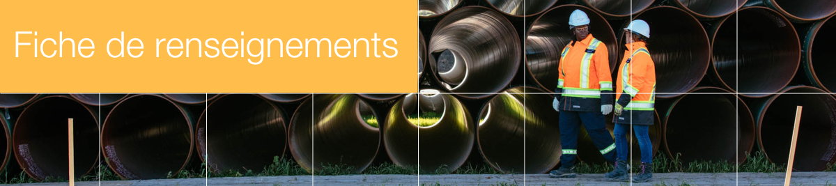 Deux inspecteurs et sections de canalisations