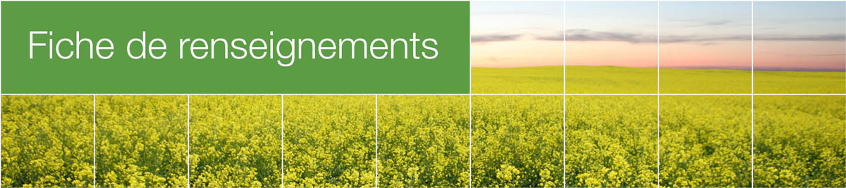 Fiche de renseignements