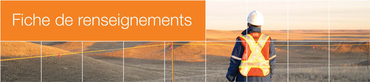 Fiche de renseignements