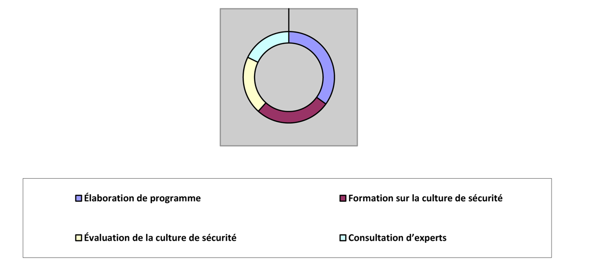 Graphique en anneau illustrant la fréquence du type de promotion de la culture de sécurité